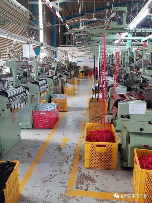 恒力泰服装辅料 越南 公司,专业生产针织松紧带 鞋带 提花带等产品