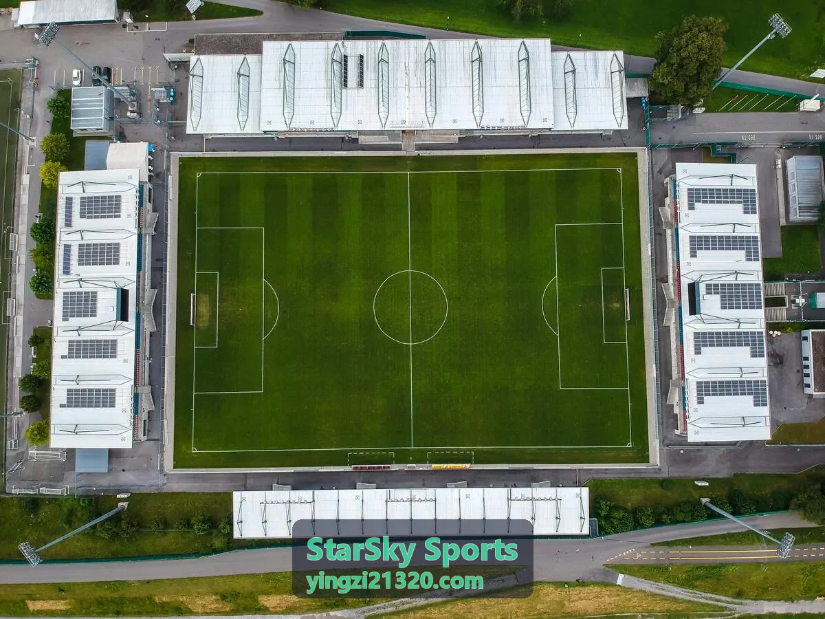 StarSky Sports 球队与球员资料中的阵容名单与球员位置信息