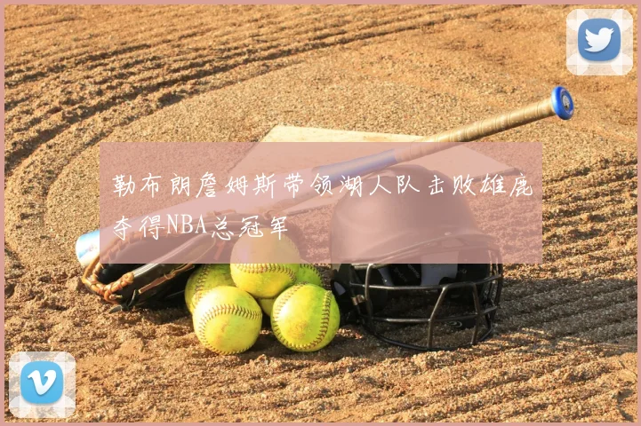 勒布朗詹姆斯带领湖人队击败雄鹿夺得NBA总冠军
