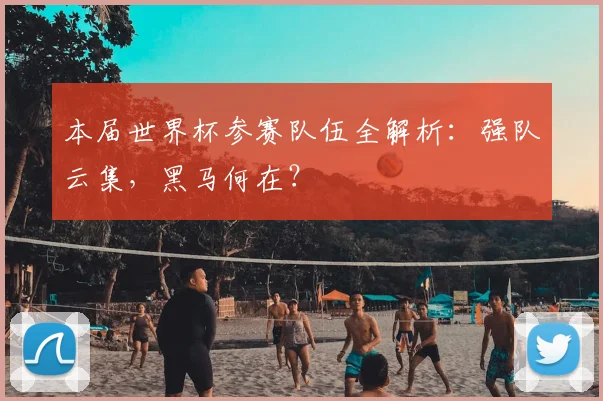 本届世界杯参赛队伍全解析:强队云集,黑马何在?
