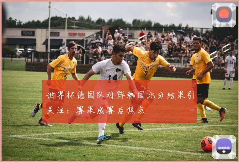 世界杯德国队对阵韩国比分结果引关注，赛果成赛后焦点